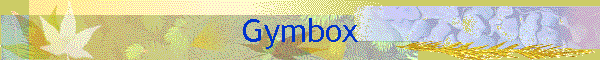 Gymbox.GIF (14879 bytes)